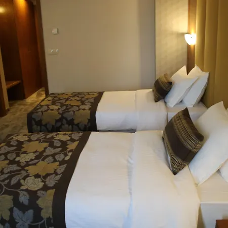 Golden Tulip 酒店 4*