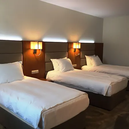 Golden Tulip 酒店 4*