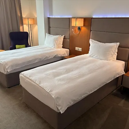 酒店 Golden Tulip