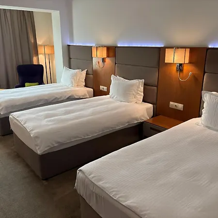 酒店 Golden Tulip 4*