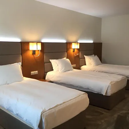 Golden Tulip מלון