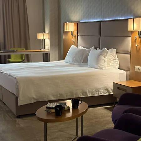 Golden Tulip 酒店 4*